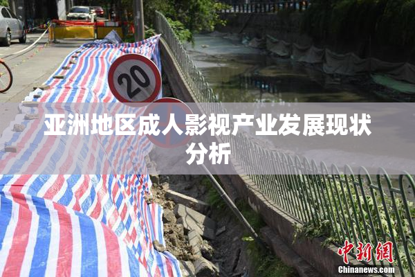 亚洲地区成人影视产业发展现状分析