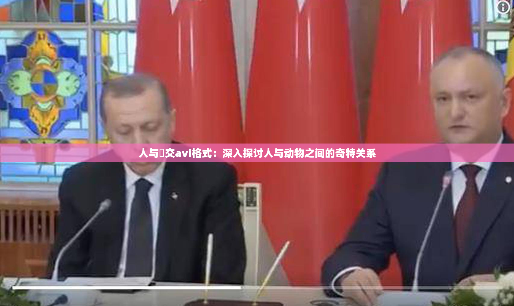 人与嘼交avi格式：深入探讨人与动物之间的奇特关系