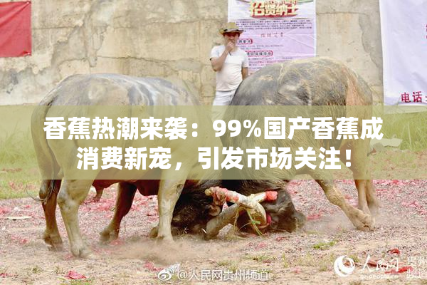 香蕉热潮来袭：99%国产香蕉成消费新宠，引发市场关注！