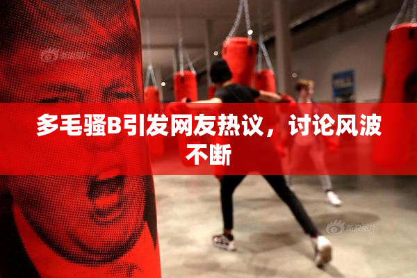 多毛骚B引发网友热议，讨论风波不断