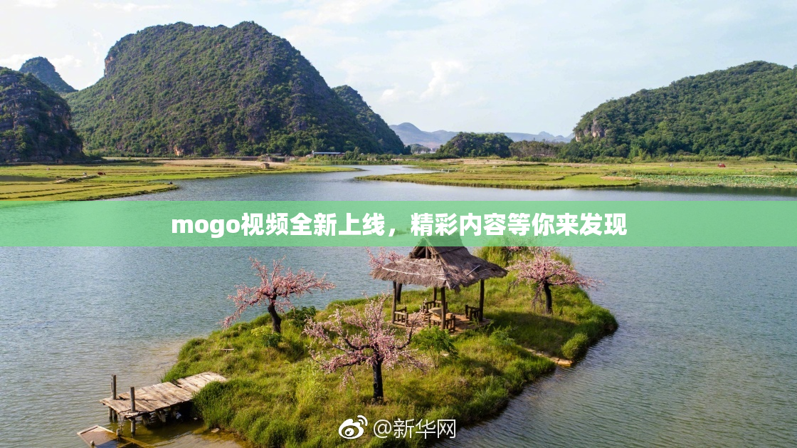 mogo视频全新上线，精彩内容等你来发现