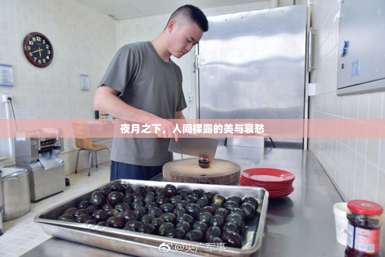 夜月之下，人间裸露的美与哀愁