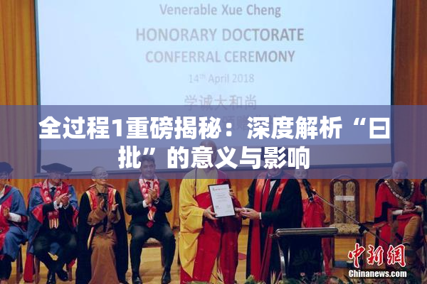 全过程1重磅揭秘：深度解析“曰批”的意义与影响