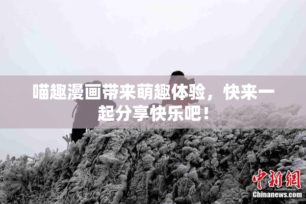 喵趣漫画带来萌趣体验，快来一起分享快乐吧！