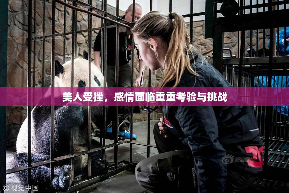 美人受挫，感情面临重重考验与挑战