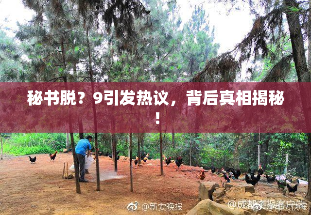 秘书脱？9引发热议，背后真相揭秘！