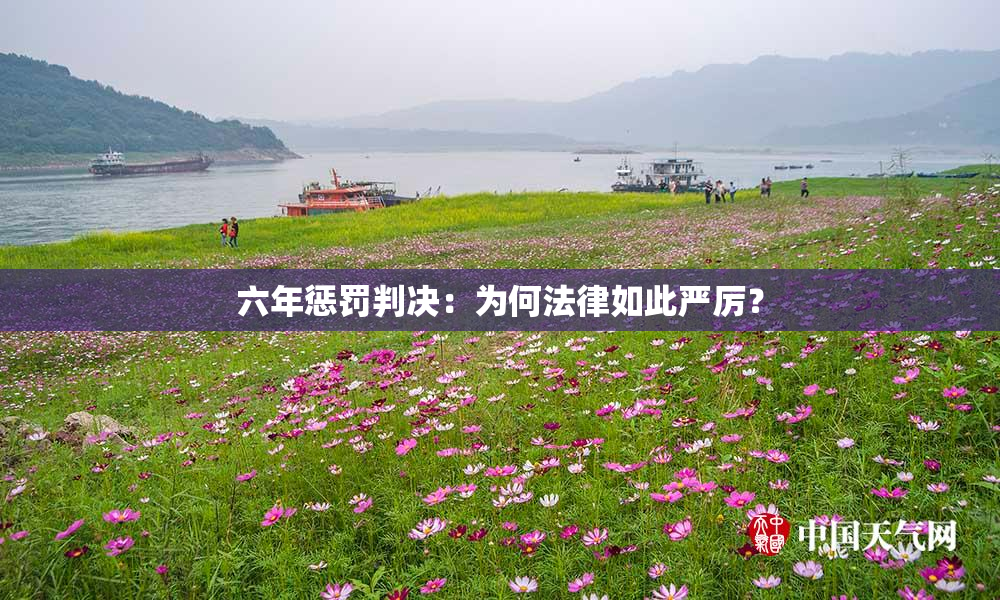 六年惩罚判决：为何法律如此严厉？