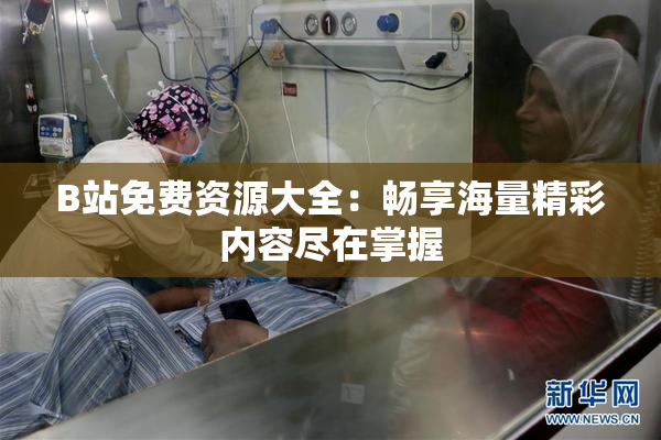 B站免费资源大全：畅享海量精彩内容尽在掌握