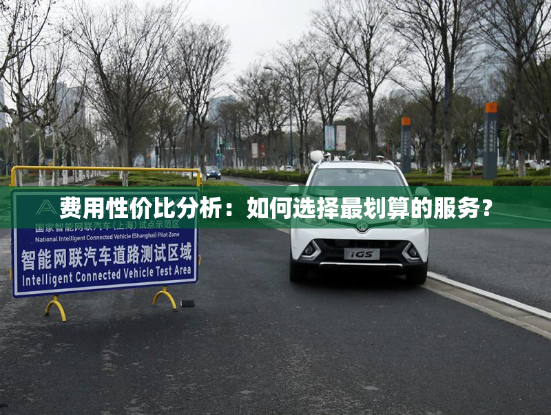 费用性价比分析：如何选择最划算的服务？