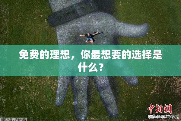 免费的理想，你最想要的选择是什么？