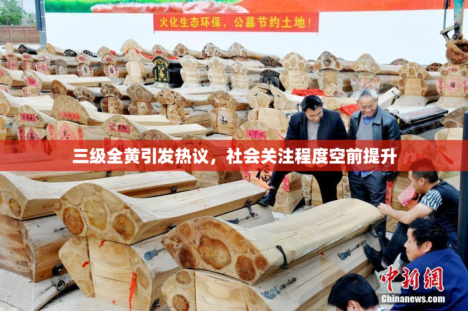 三级全黄引发热议，社会关注程度空前提升