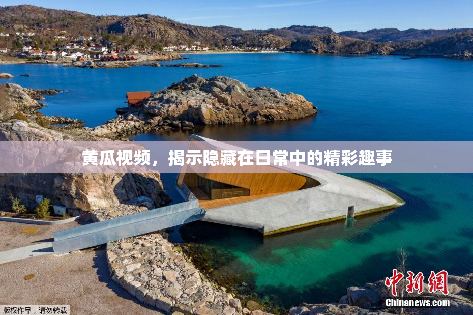 黄瓜视频，揭示隐藏在日常中的精彩趣事
