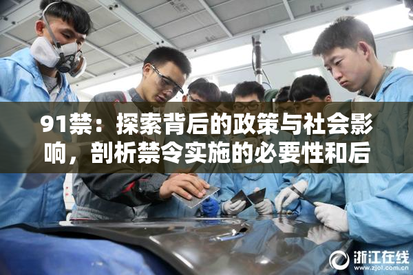 91禁：探索背后的政策与社会影响，剖析禁令实施的必要性和后果