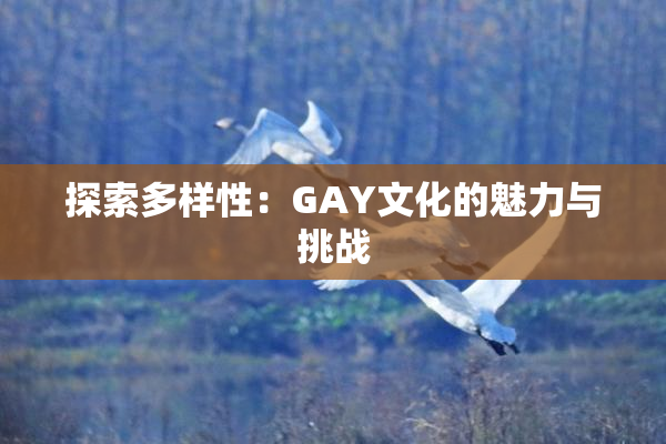探索多样性：GAY文化的魅力与挑战