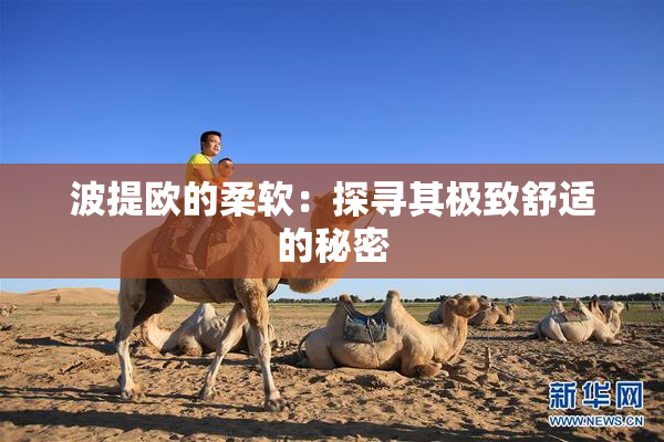 波提欧的柔软：探寻其极致舒适的秘密