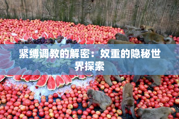 紧缚调教的解密：奴重的隐秘世界探索