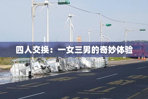 四人交换：一女三男的奇妙体验