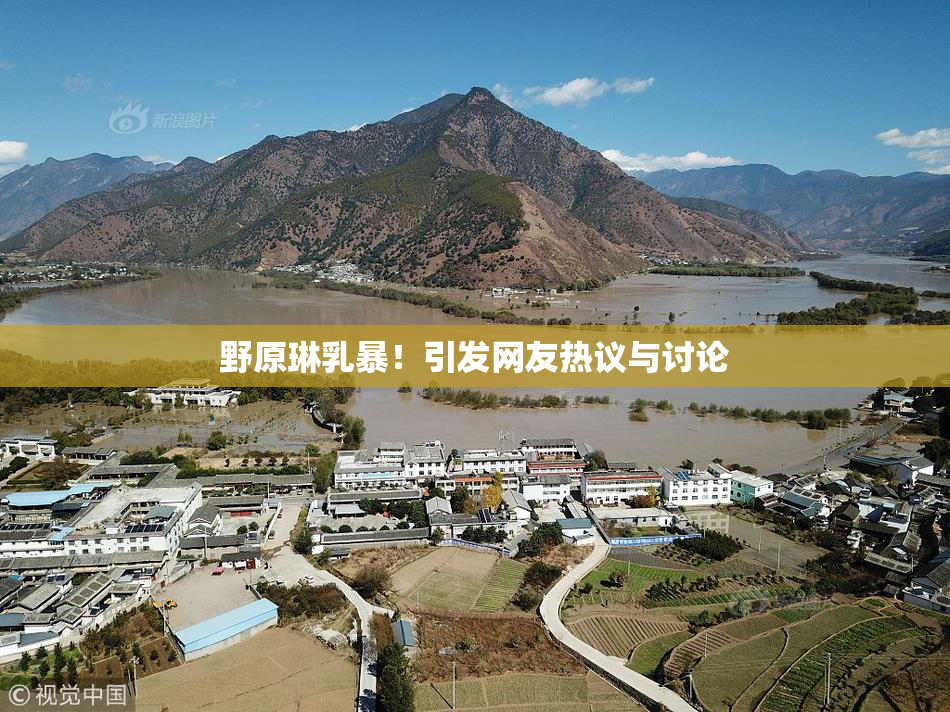 野原琳乳暴！引发网友热议与讨论