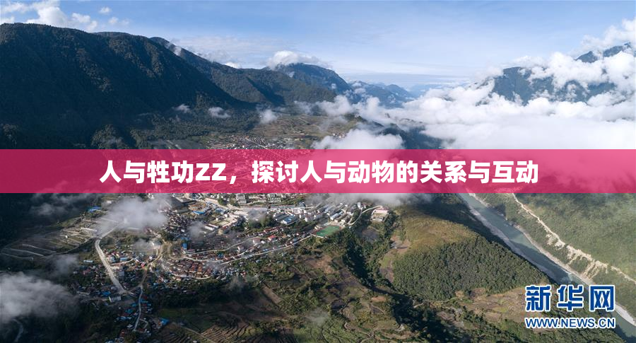 人与牲功ZZ，探讨人与动物的关系与互动