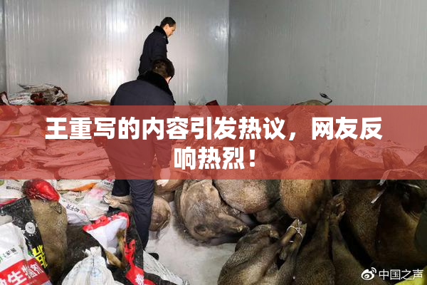 王重写的内容引发热议，网友反响热烈！