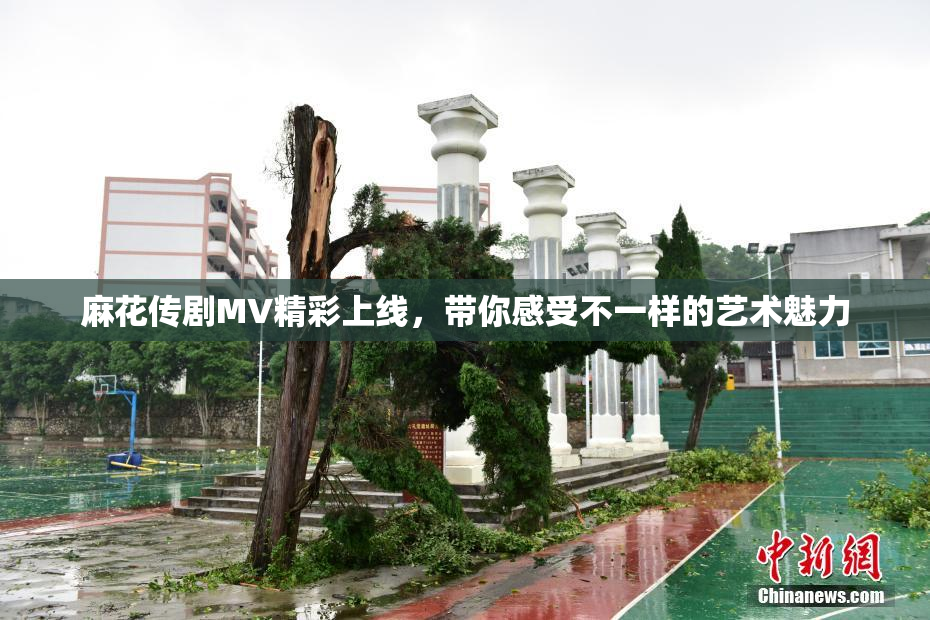 麻花传剧MV精彩上线，带你感受不一样的艺术魅力
