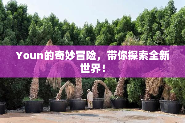 Youn的奇妙冒险，带你探索全新世界！