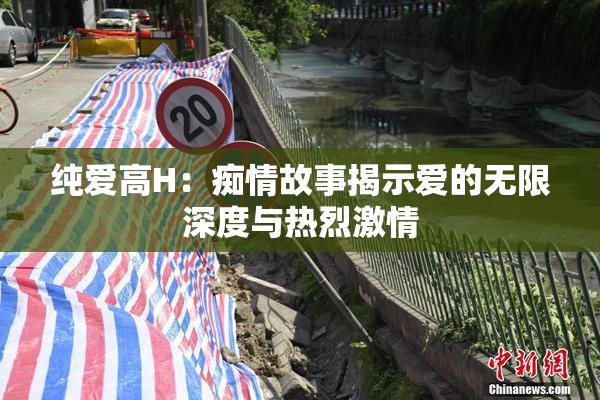 纯爱高H：痴情故事揭示爱的无限深度与热烈激情