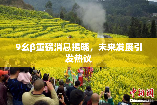 9幺β重磅消息揭晓，未来发展引发热议