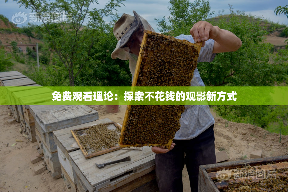 免费观看理论：探索不花钱的观影新方式