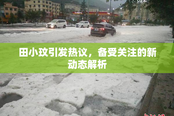 田小玟引发热议，备受关注的新动态解析