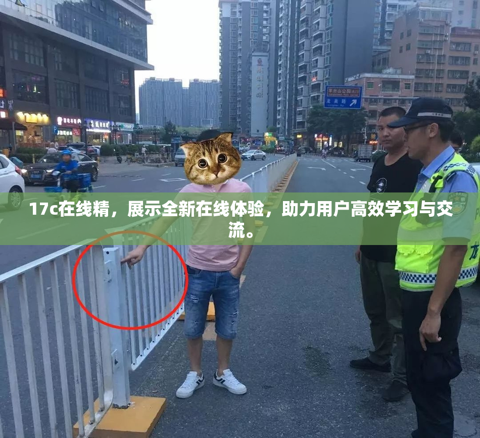 17c在线精，展示全新在线体验，助力用户高效学习与交流。