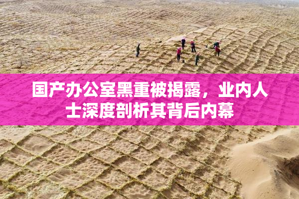国产办公室黑重被揭露，业内人士深度剖析其背后内幕