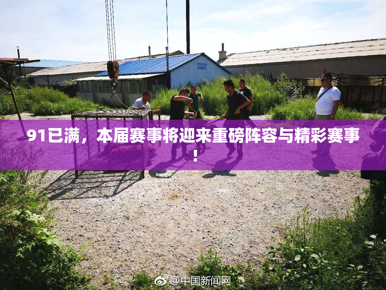 91已满，本届赛事将迎来重磅阵容与精彩赛事！