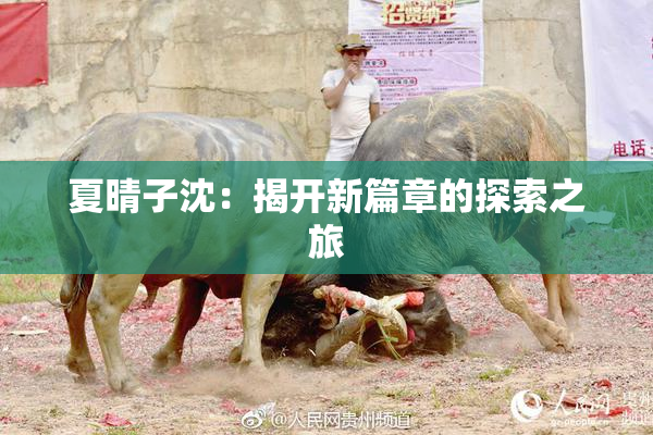 夏晴子沈：揭开新篇章的探索之旅