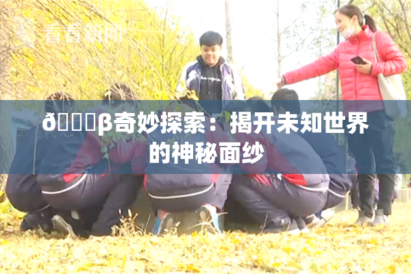 👙β奇妙探索：揭开未知世界的神秘面纱