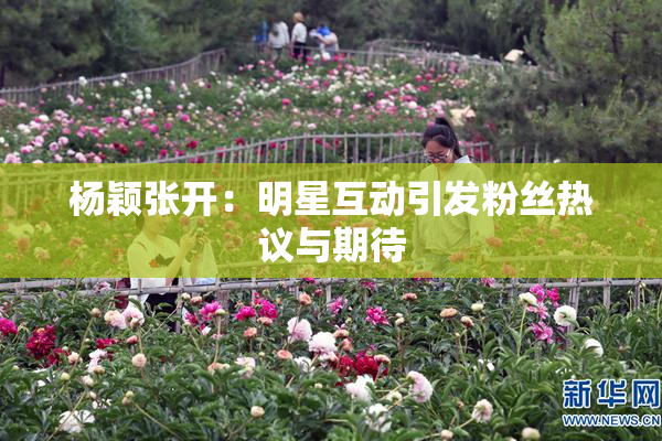 杨颖张开：明星互动引发粉丝热议与期待
