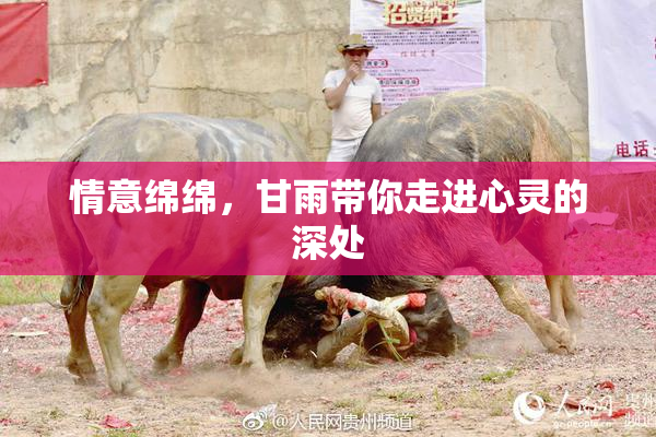 情意绵绵，甘雨带你走进心灵的深处