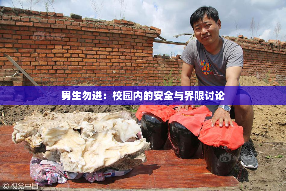 男生勿进：校园内的安全与界限讨论