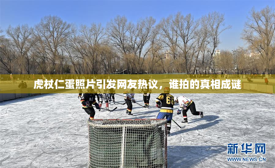 虎杖仁蛋照片引发网友热议，谁拍的真相成谜
