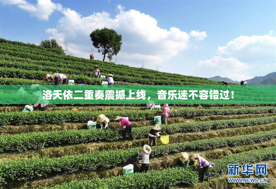 洛天依二重奏震撼上线，音乐迷不容错过！