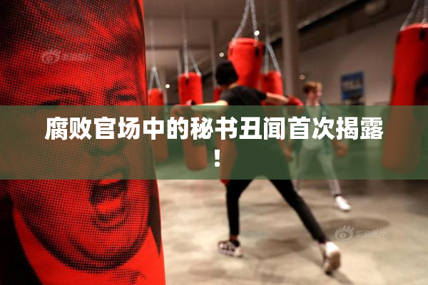 腐败官场中的秘书丑闻首次揭露！