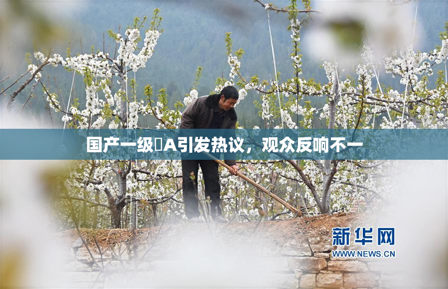 国产一级婬A引发热议，观众反响不一