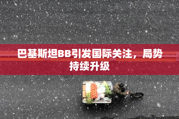 巴基斯坦BB引发国际关注，局势持续升级