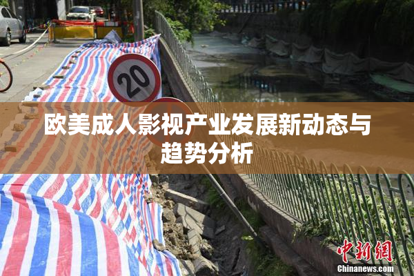 欧美成人影视产业发展新动态与趋势分析