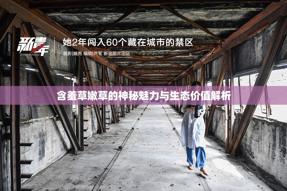 含羞草嫩草的神秘魅力与生态价值解析