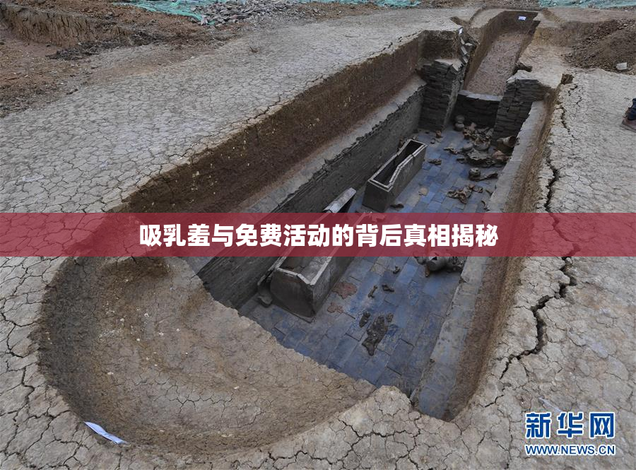 吸乳羞与免费活动的背后真相揭秘