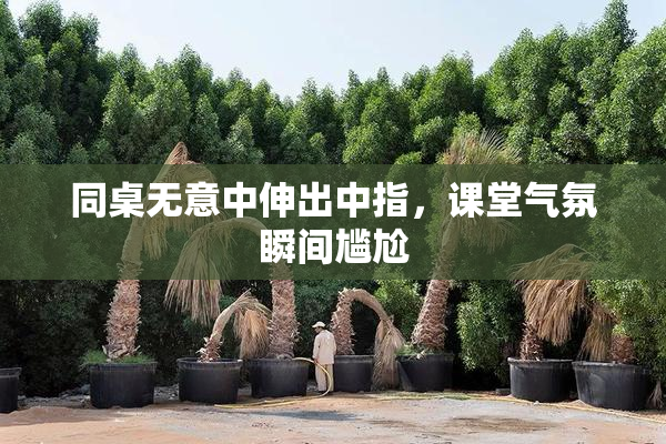 同桌无意中伸出中指，课堂气氛瞬间尴尬