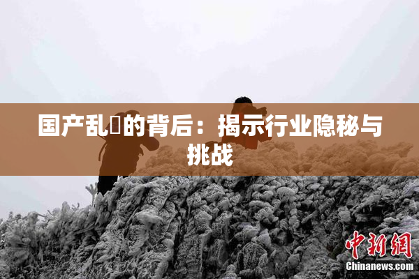 国产乱婬的背后：揭示行业隐秘与挑战