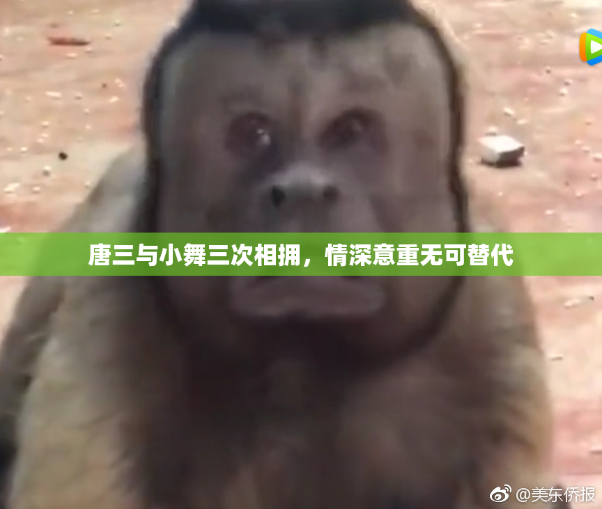 唐三与小舞三次相拥，情深意重无可替代