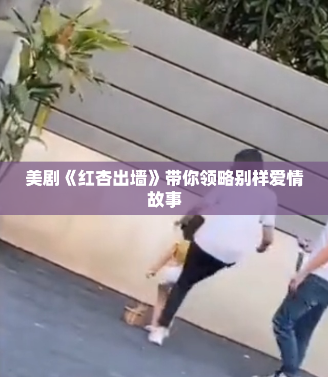 美剧《红杏出墙》带你领略别样爱情故事